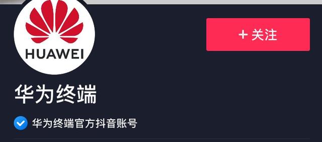 抖音认证有什么好处?抖音蓝V认证15大权益解读