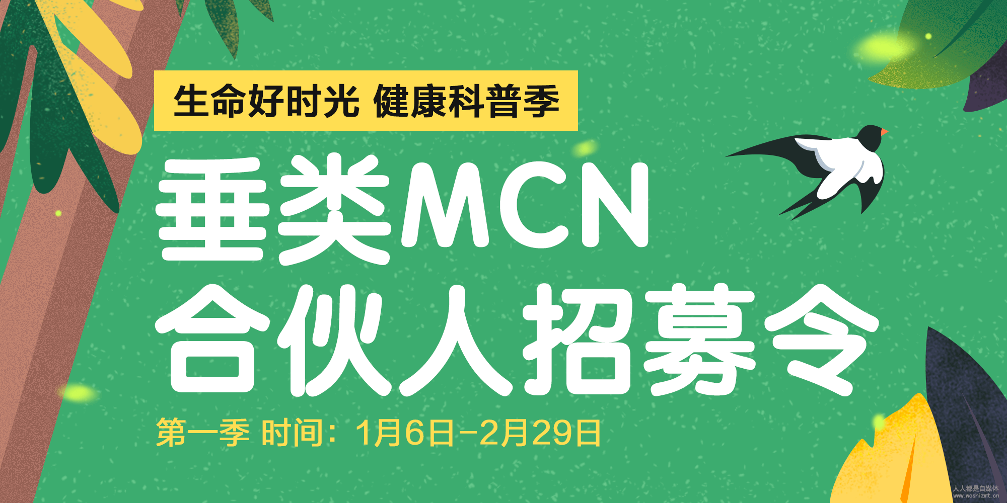 一点资讯健康mcn
