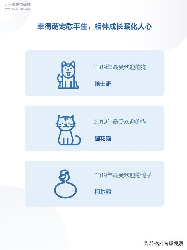 2019年抖音数据报告(完整版)