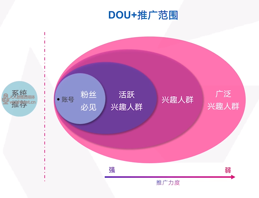 低预算如何利用 Dou+ 种草带货？